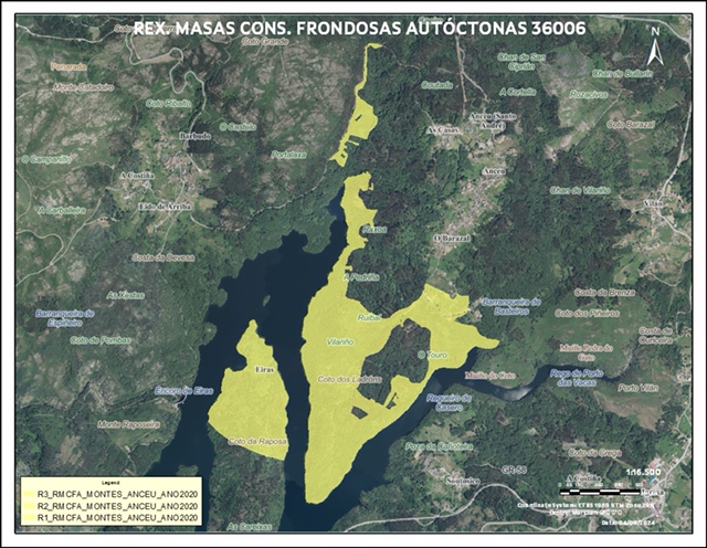Plano frondosas autóctonas